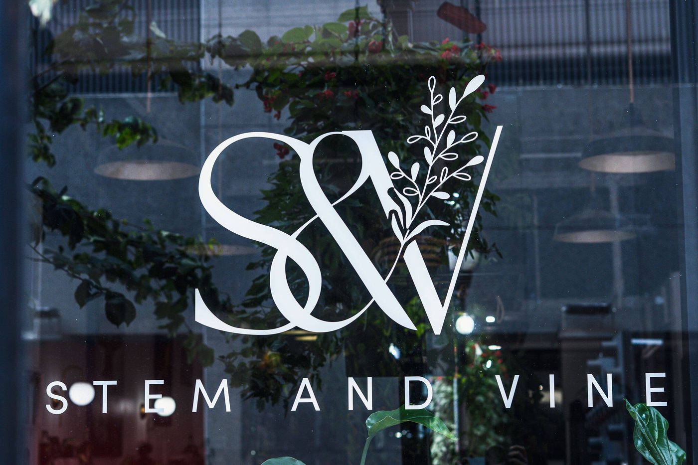 Stem & Vine logo on the Charles Street storefront window in downtown Baltimore