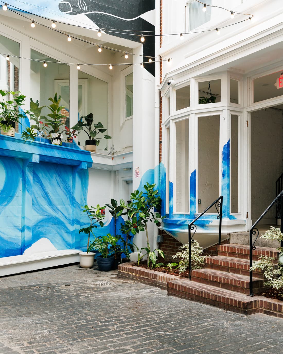 Potted plants flanking the courtyard entrance steps beneath the blue mural at Stem & Vine, Baltimore