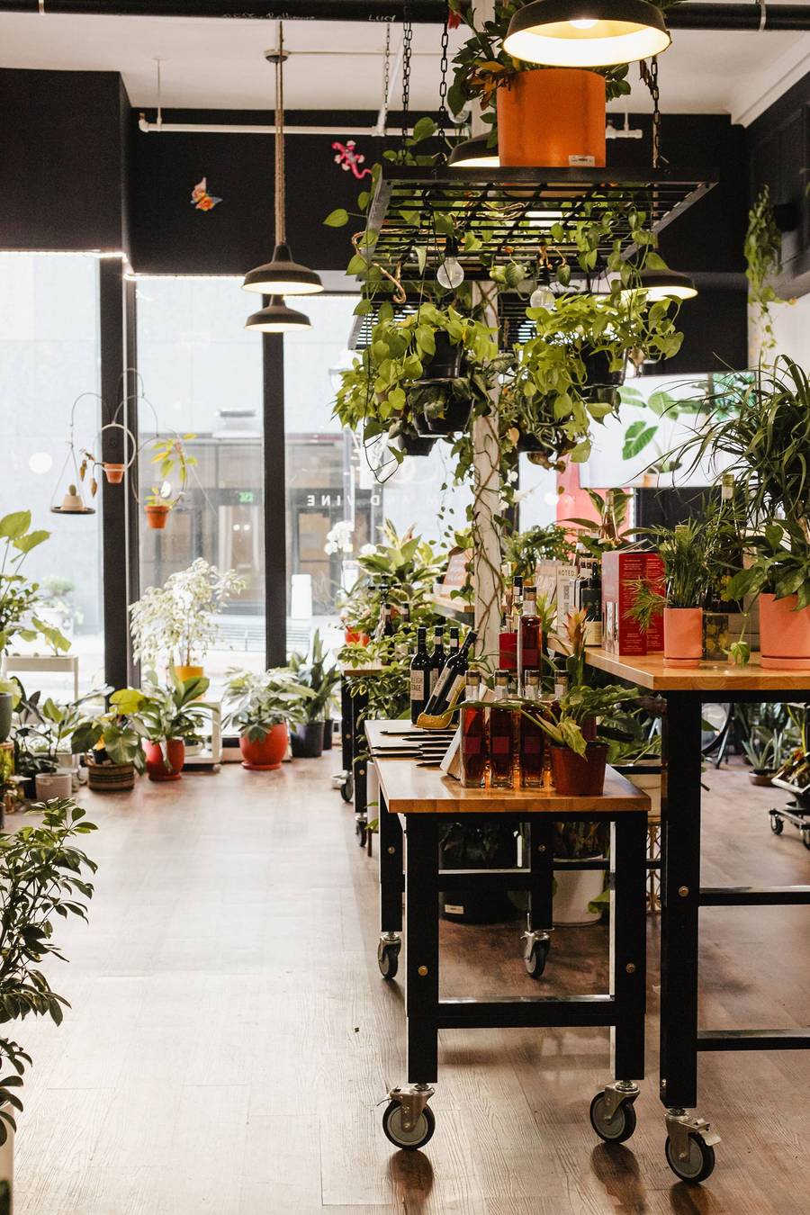 Rolling plant cart under hanging greenery near the front window of Stem & Vine, Baltimore