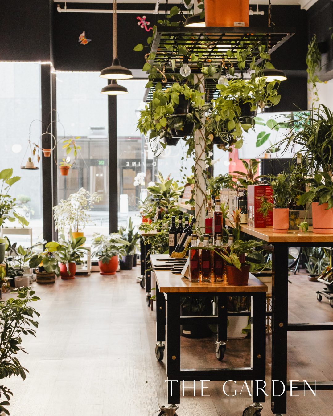 Ferns and hanging plants filling the garden room at Stem & Vine in Baltimore