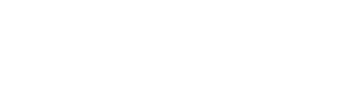 The Forest / Standard Wellness