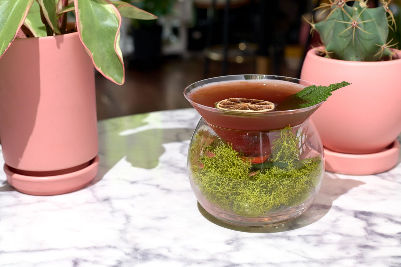 A cocktail in a moss-lined glass between two potted plants on a marble table at Stem & Vine, Baltimore