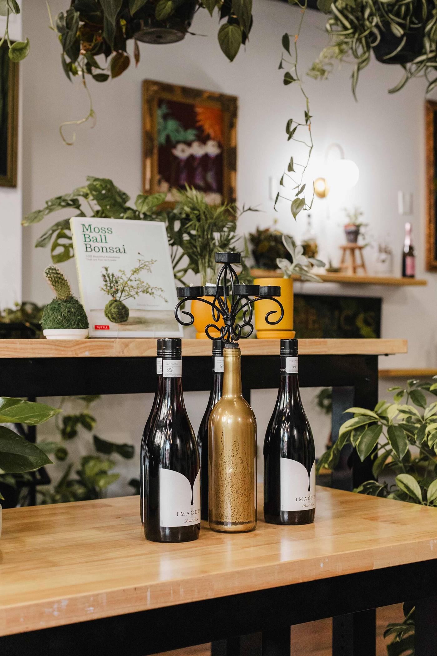 Wine bottles displayed among hanging plants at Stem & Vine in downtown Baltimore